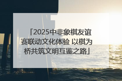 2025中非象棋友谊赛联动文化体验 以棋为桥共筑文明互鉴之路